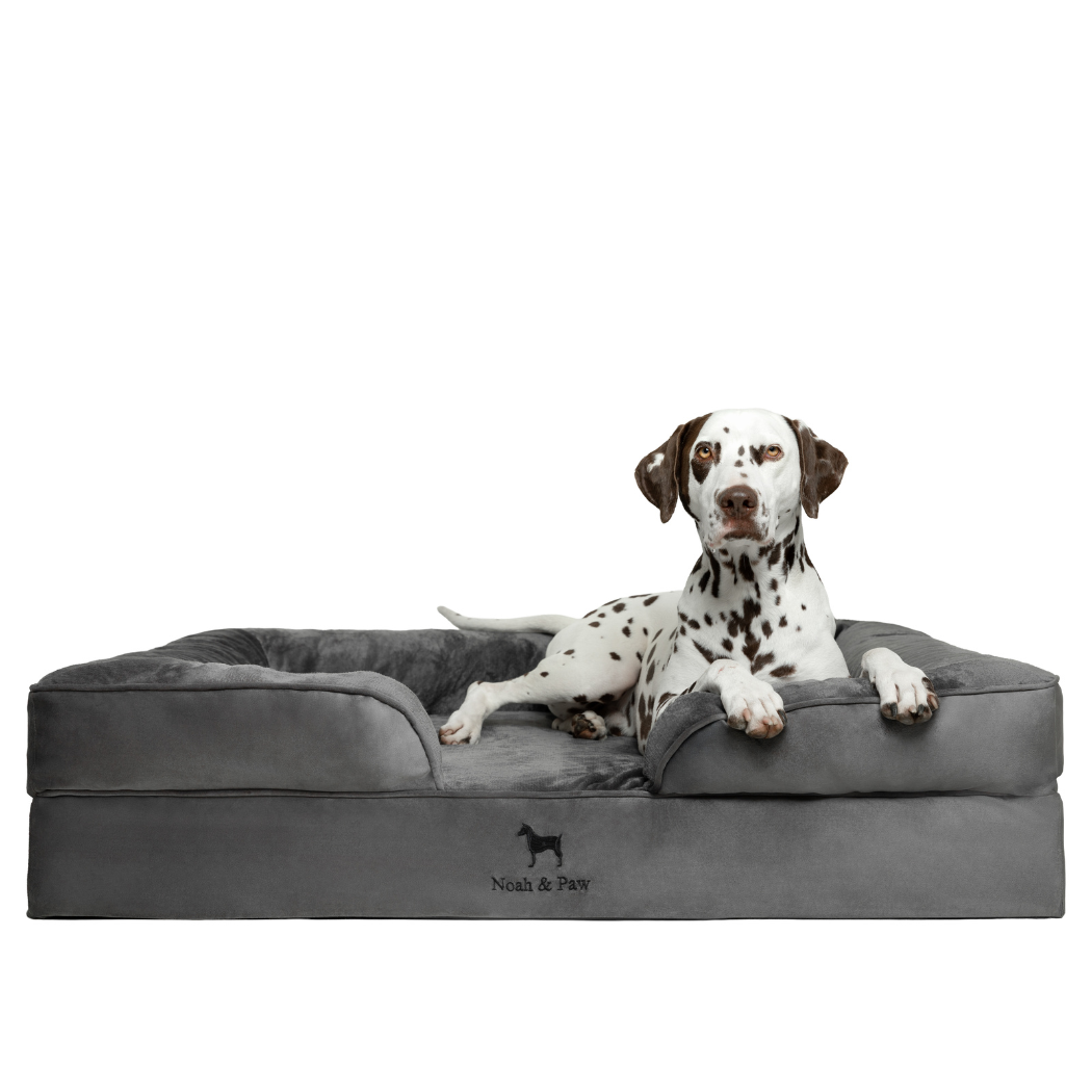 Noah & Paw Orthopedic Dog Bed – Large (Up to 90 lbs) | Washable, Non-Slip, Joint Support