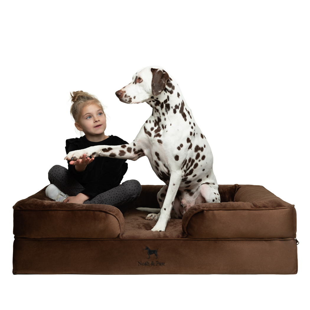 Noah & Paw Orthopedic Dog Bed – Large (Up to 90 lbs) | Washable, Non-Slip, Joint Support