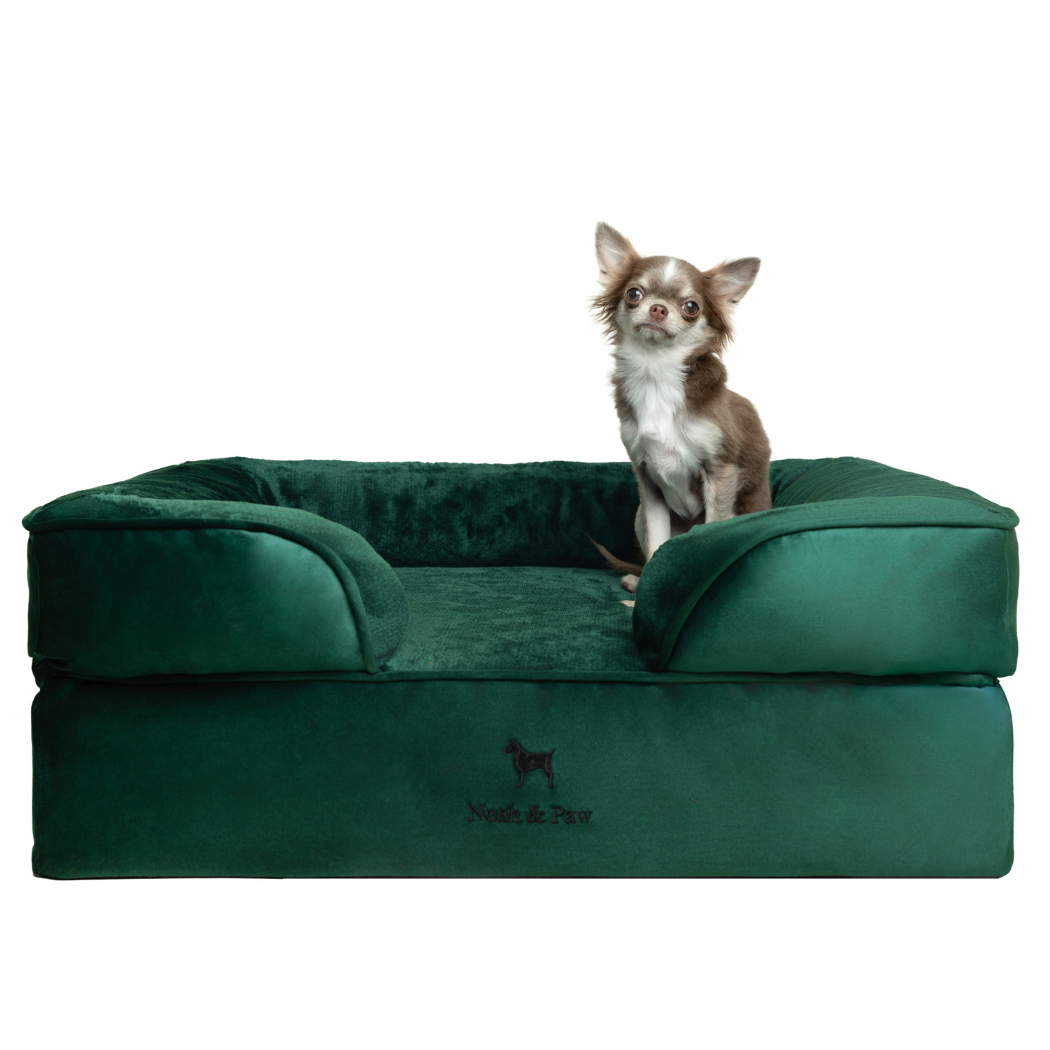 Noah & Paw Orthopedic Dog Bed – Small (Up to 30 lbs) | Washable, Non-Slip, Joint Support