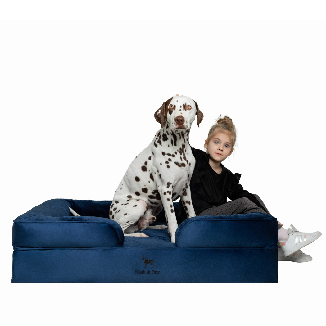 Noah & Paw Orthopedic Dog Bed – Large (Up to 90 lbs) | Washable, Non-Slip, Joint Support