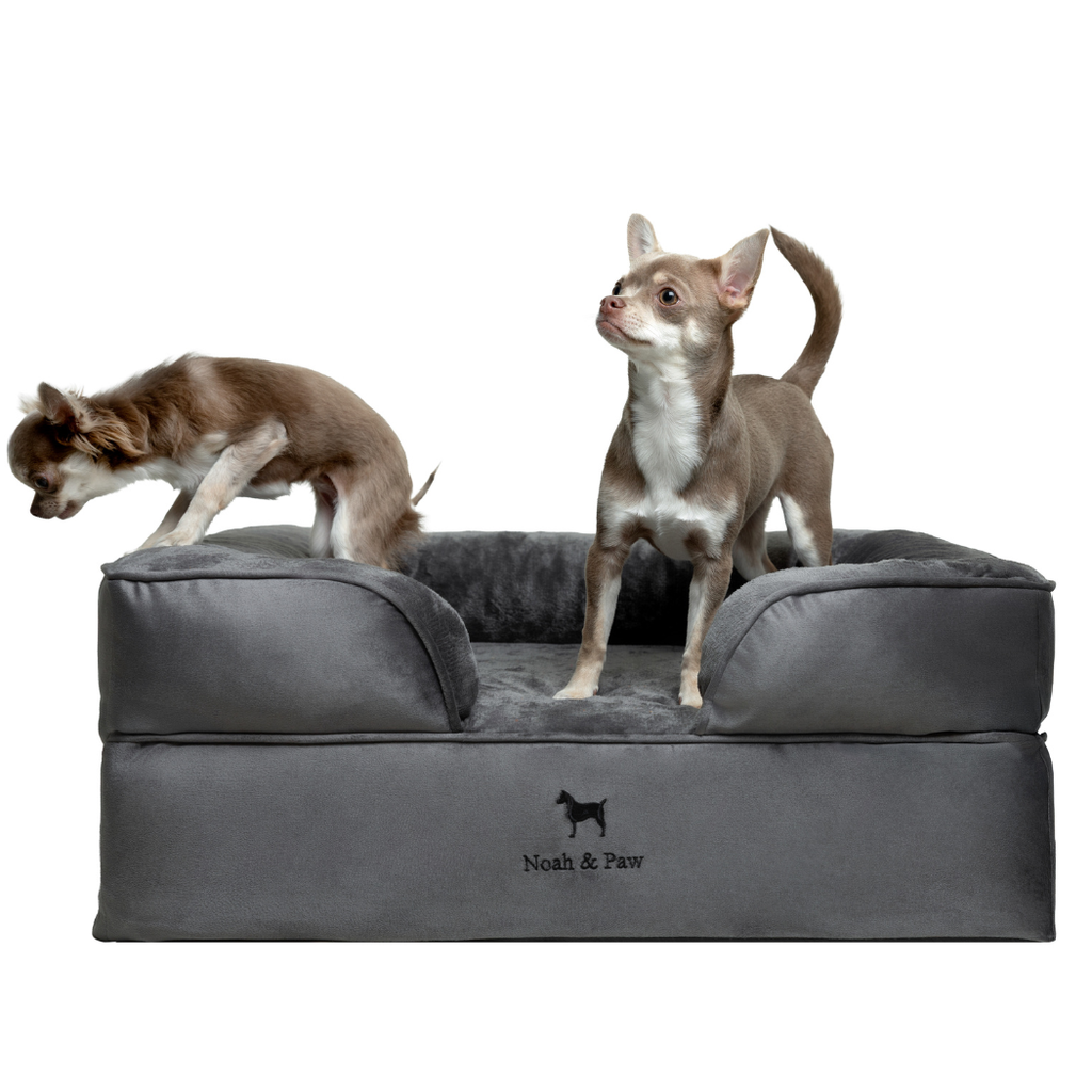 Noah & Paw Orthopedic Dog Bed – Small (Up to 30 lbs) | Washable, Non-Slip, Joint Support