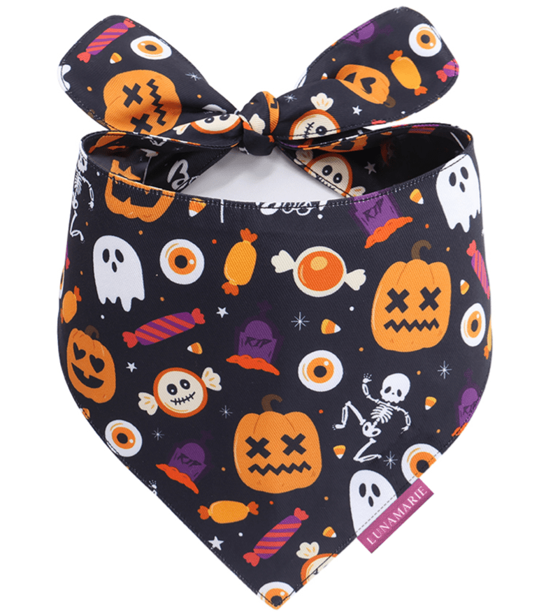 Trick-or-Treat Dog Bandana – Limited Edition
