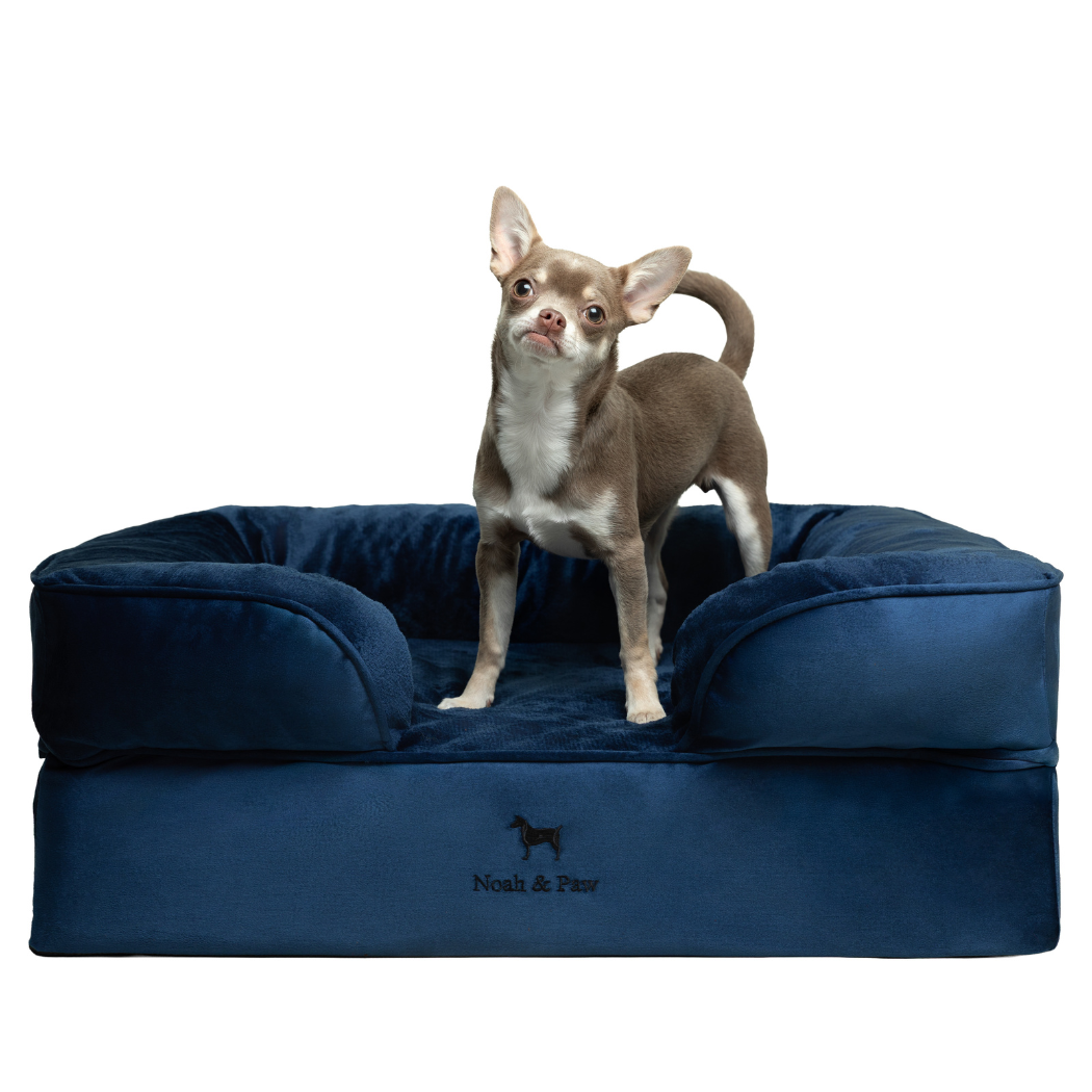 Noah & Paw Orthopedic Dog Bed – Small (Up to 30 lbs) | Washable, Non-Slip, Joint Support