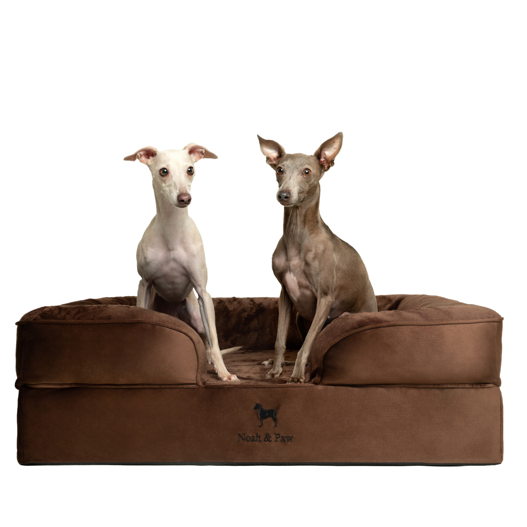 Noah & Paw Orthopedic Dog Bed – Medium (Up to 55 lbs) | Washable, Non-Slip, Joint Support