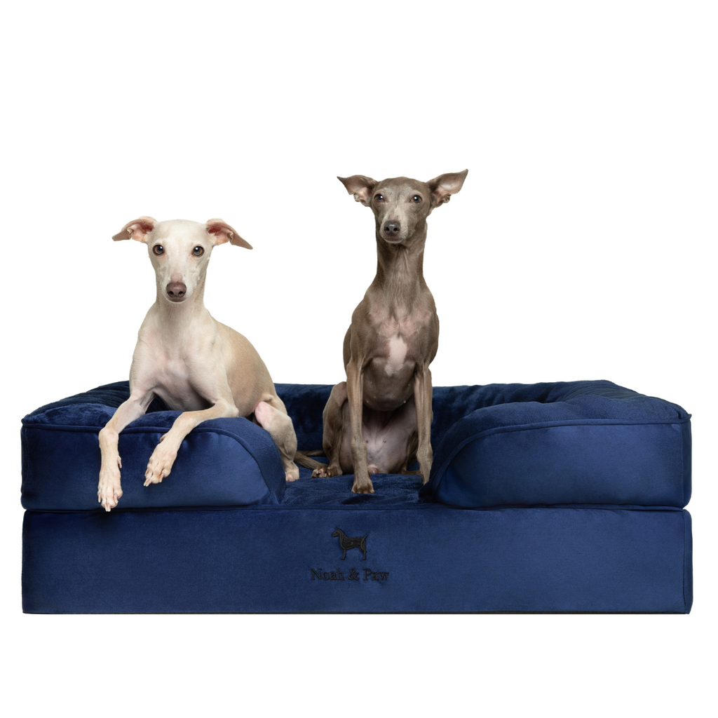 Noah & Paw Orthopedic Dog Bed – Medium (Up to 55 lbs) | Washable, Non-Slip, Joint Support