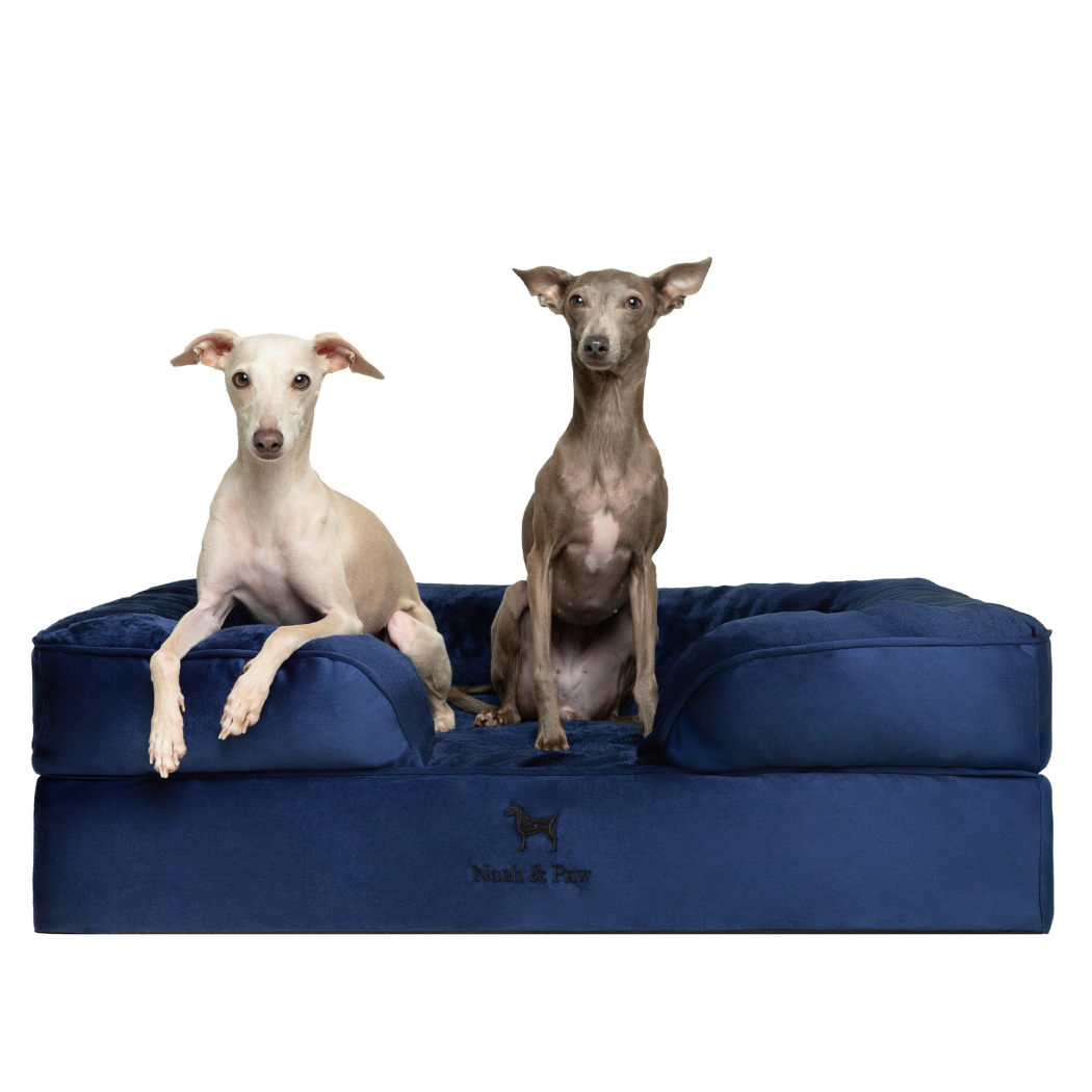Noah & Paw Orthopedic Dog Bed – Medium (Up to 55 lbs) | Washable, Non-Slip, Joint Support