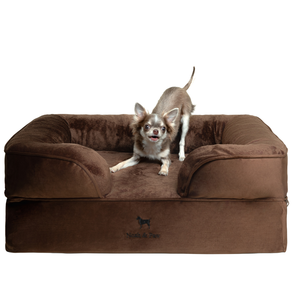 Noah & Paw Orthopedic Dog Bed – Small (Up to 30 lbs) | Washable, Non-Slip, Joint Support