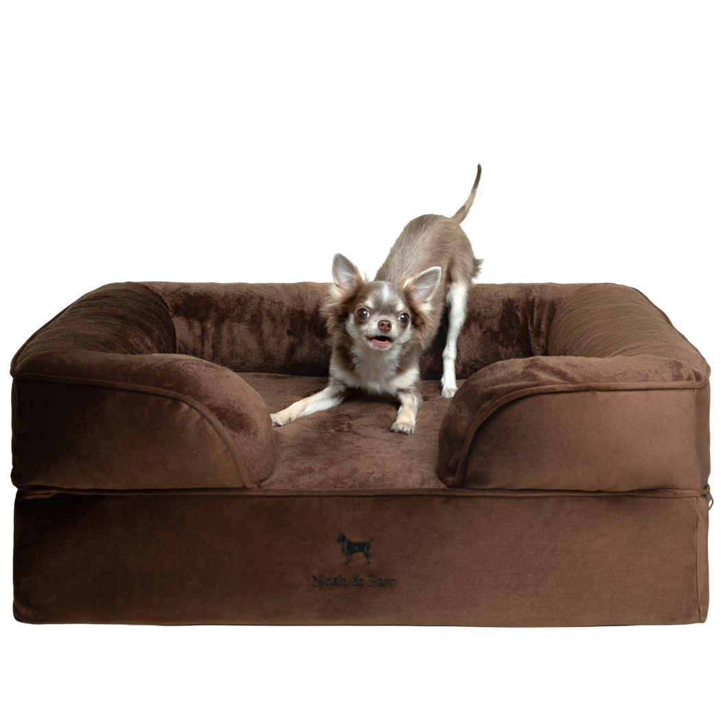 Noah & Paw Orthopedic Dog Bed – Small (Up to 30 lbs) | Washable, Non-Slip, Joint Support