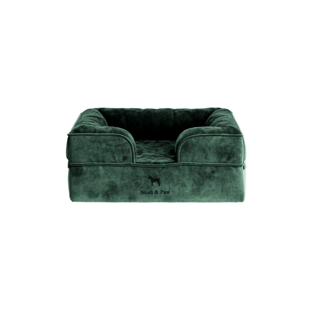 Noah & Paw Orthopedic Dog Bed – Small (Up to 30 lbs) | Washable, Non-Slip, Joint Support