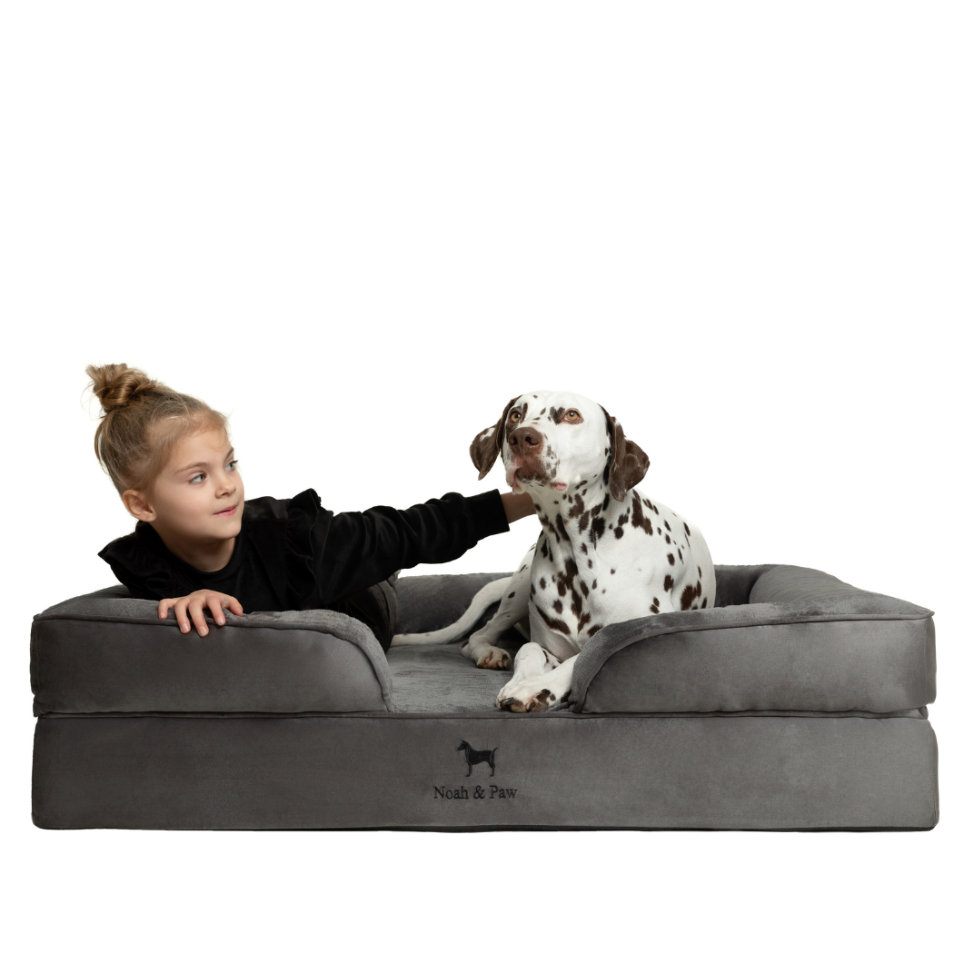 Noah & Paw Orthopedic Dog Bed – Large (Up to 90 lbs) | Washable, Non-Slip, Joint Support