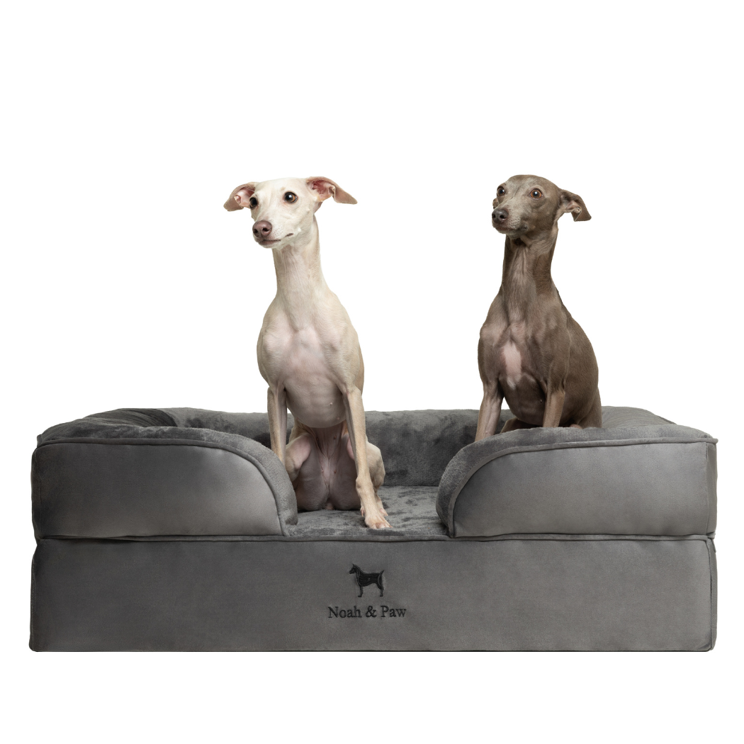 Noah & Paw Orthopedic Dog Bed – Medium (Up to 55 lbs) | Washable, Non-Slip, Joint Support