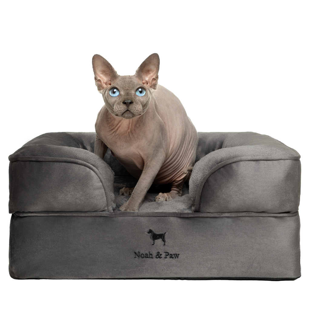 Noah & Paw Orthopedic Dog Bed – Small (Up to 30 lbs) | Washable, Non-Slip, Joint Support